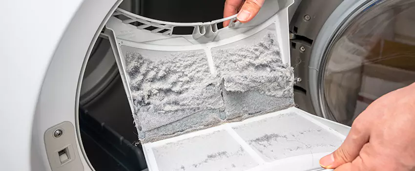 Best Dryer Lint Removal Company in Leisure City, Florida