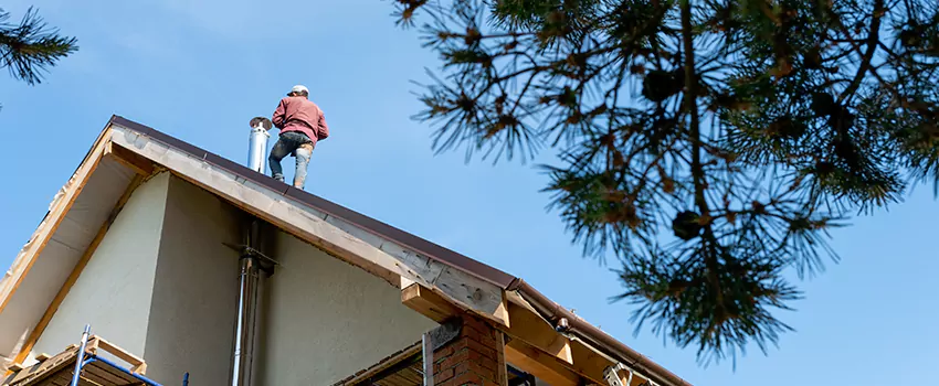 Birds Removal Contractors from Chimney in Leisure City, FL